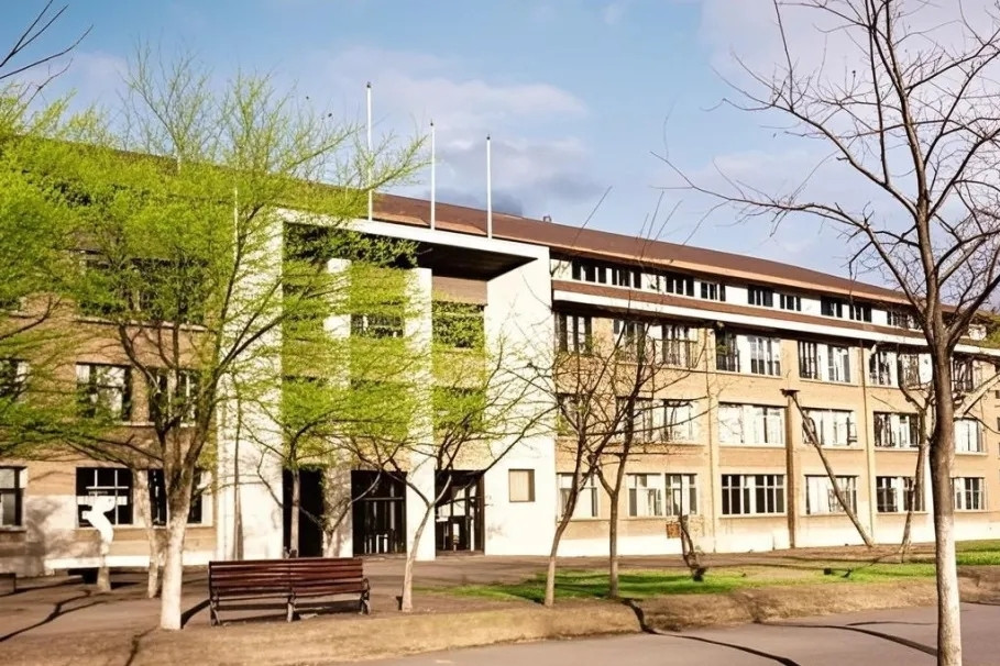 Nghiên cứu sinh tố cáo, giáo sư bị điều tra trong đêm và sa thải ngay hôm sau