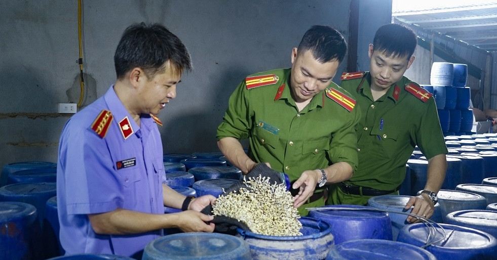 Rợn người quy trình tăng trọng 3.500 tấn giá đỗ bằng 'nước kẹo'