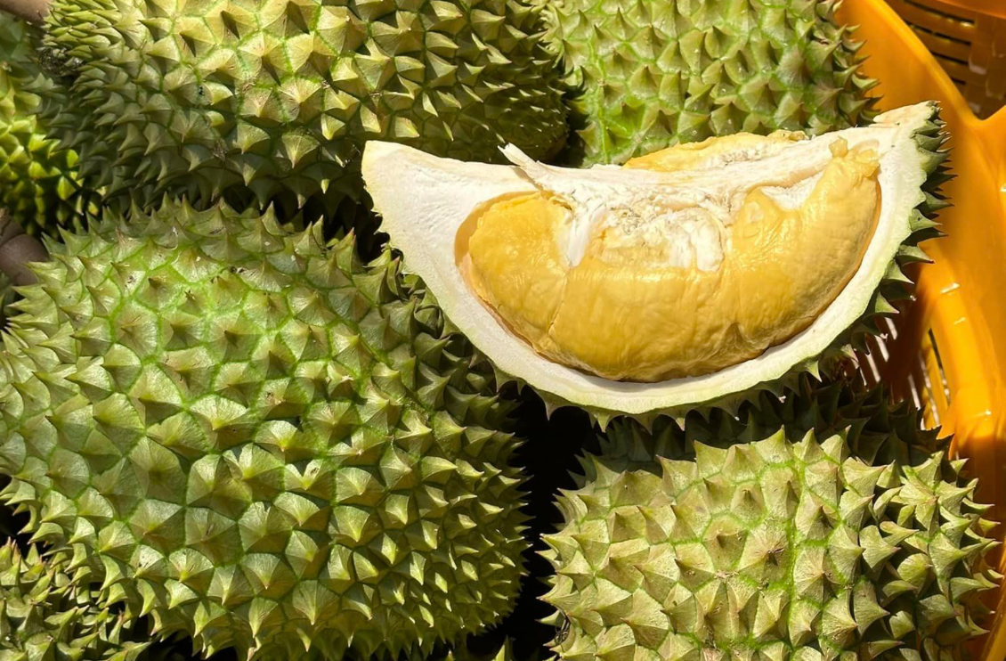 Sầu riêng Việt bị Thái Lan vượt mặt tại Trung Quốc, thêm mối nguy mới từ Lào