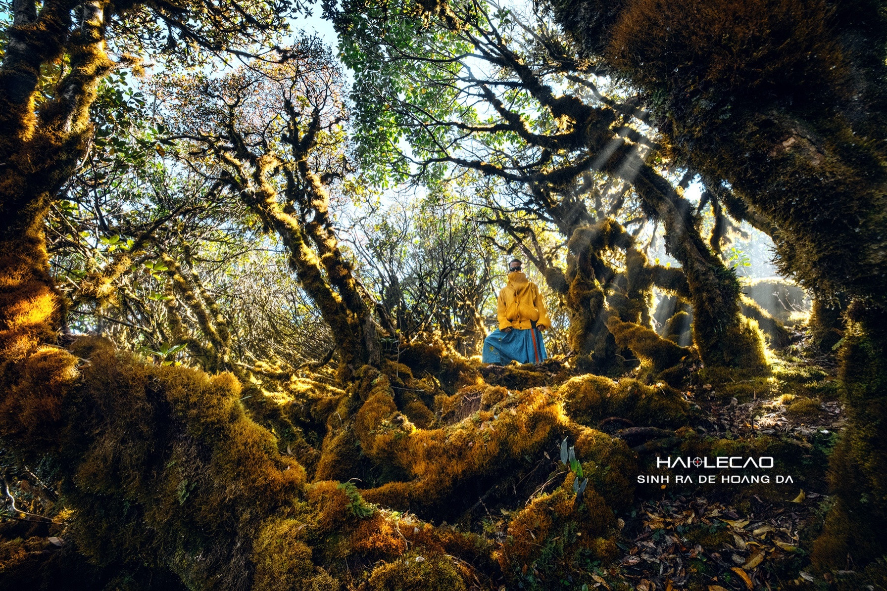 ta xua cung duong cua nhung giac mo qua trai nghiem cua nag haile cao 2.jpg