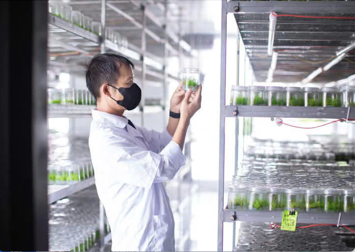 ThaiXuanBien manhinh 2025 04 21 lúc 16.28.10 (1).jpg