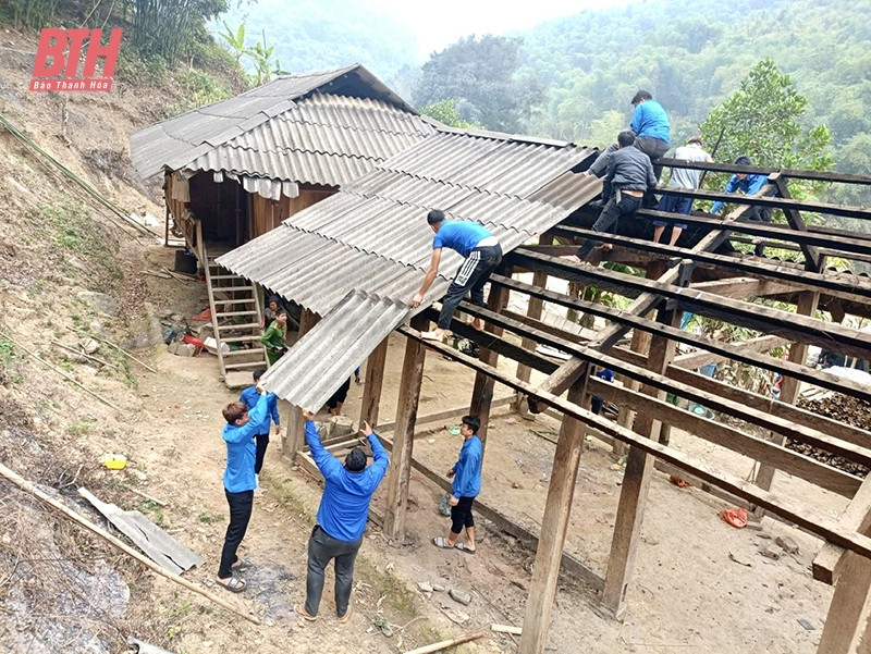 Xoa nha tam Thanh Hoa.jpg