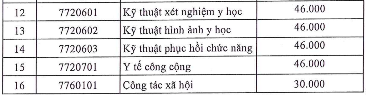 Y Dược TPHCM