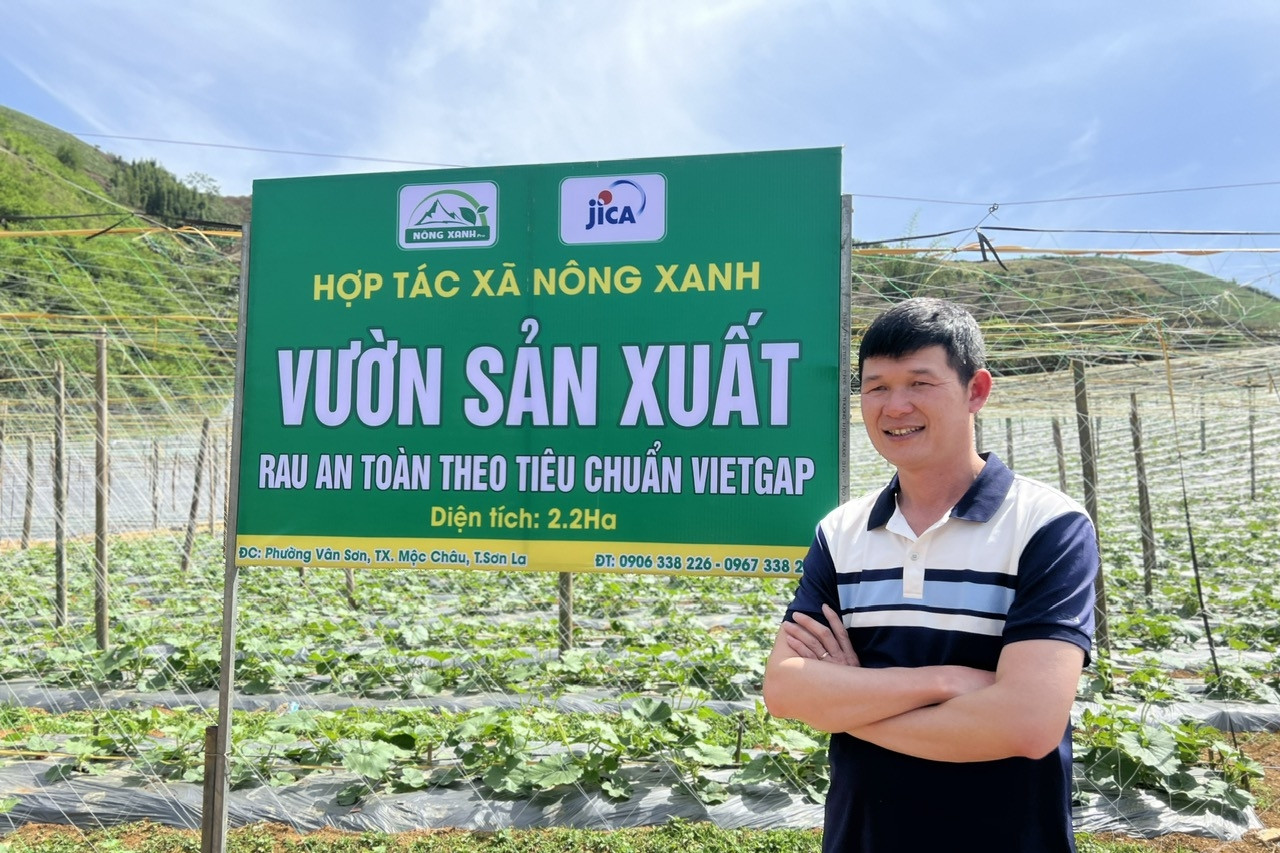 Từ cú sốc khởi nghiệp 300 triệu tới ước mơ chuỗi sản xuất rau thu chục tỷ/năm