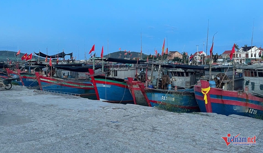 W-b585b2cd 3349 40f3 8a37 7ee5ee63a974.jpg