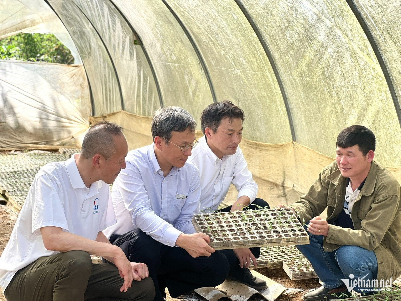 W-Chuyen gia JICA.jpg