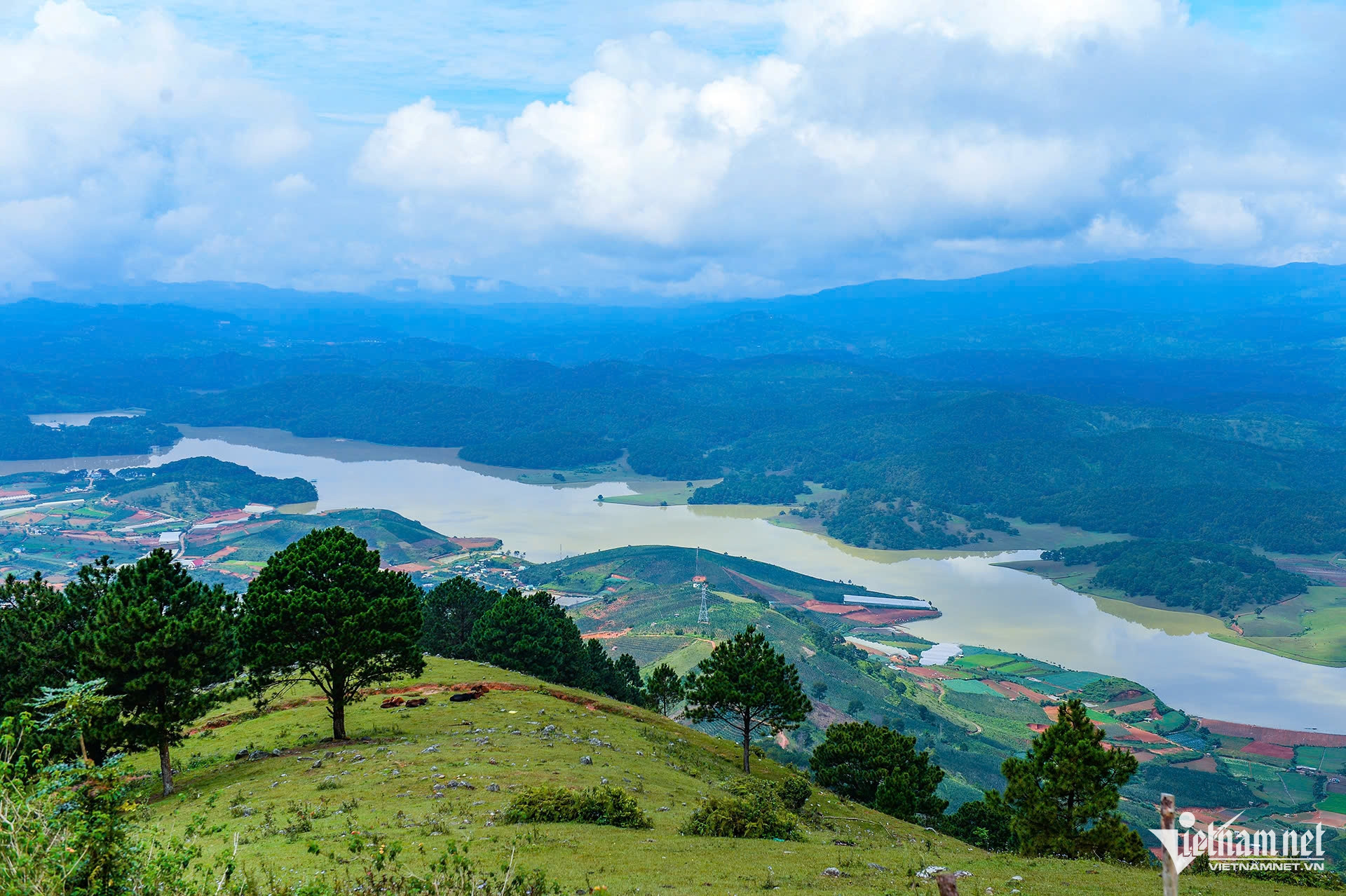 W-da lat 1.jpg