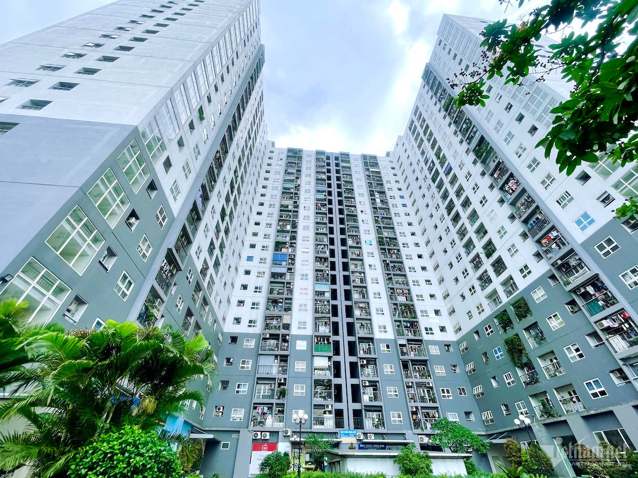 w nha o chung cu vietnamnet 1 618.jpg