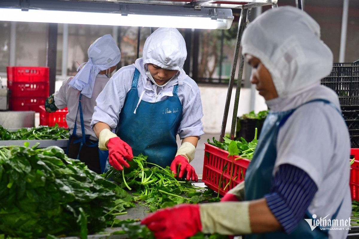 W-nong san (157).JPG.jpg