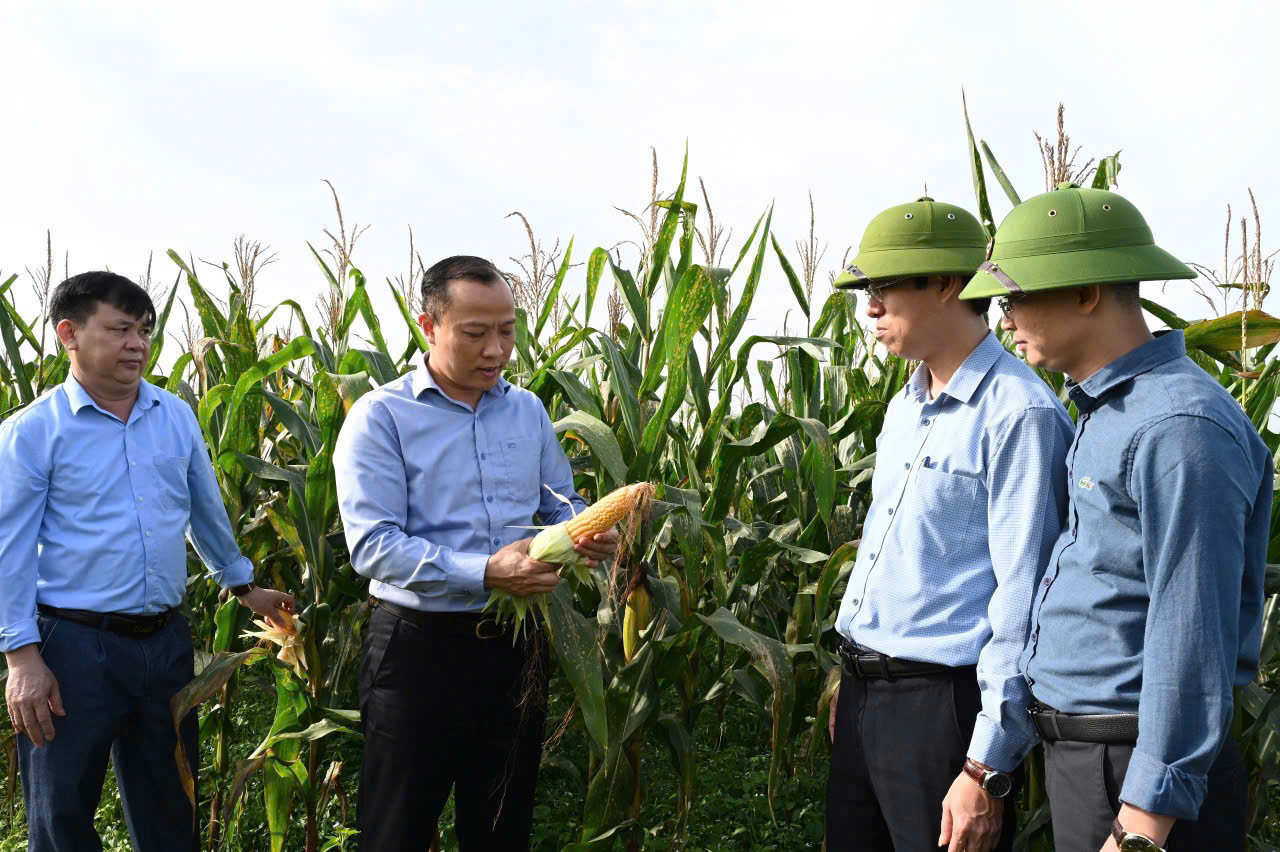 Huong Khe 4.jpg