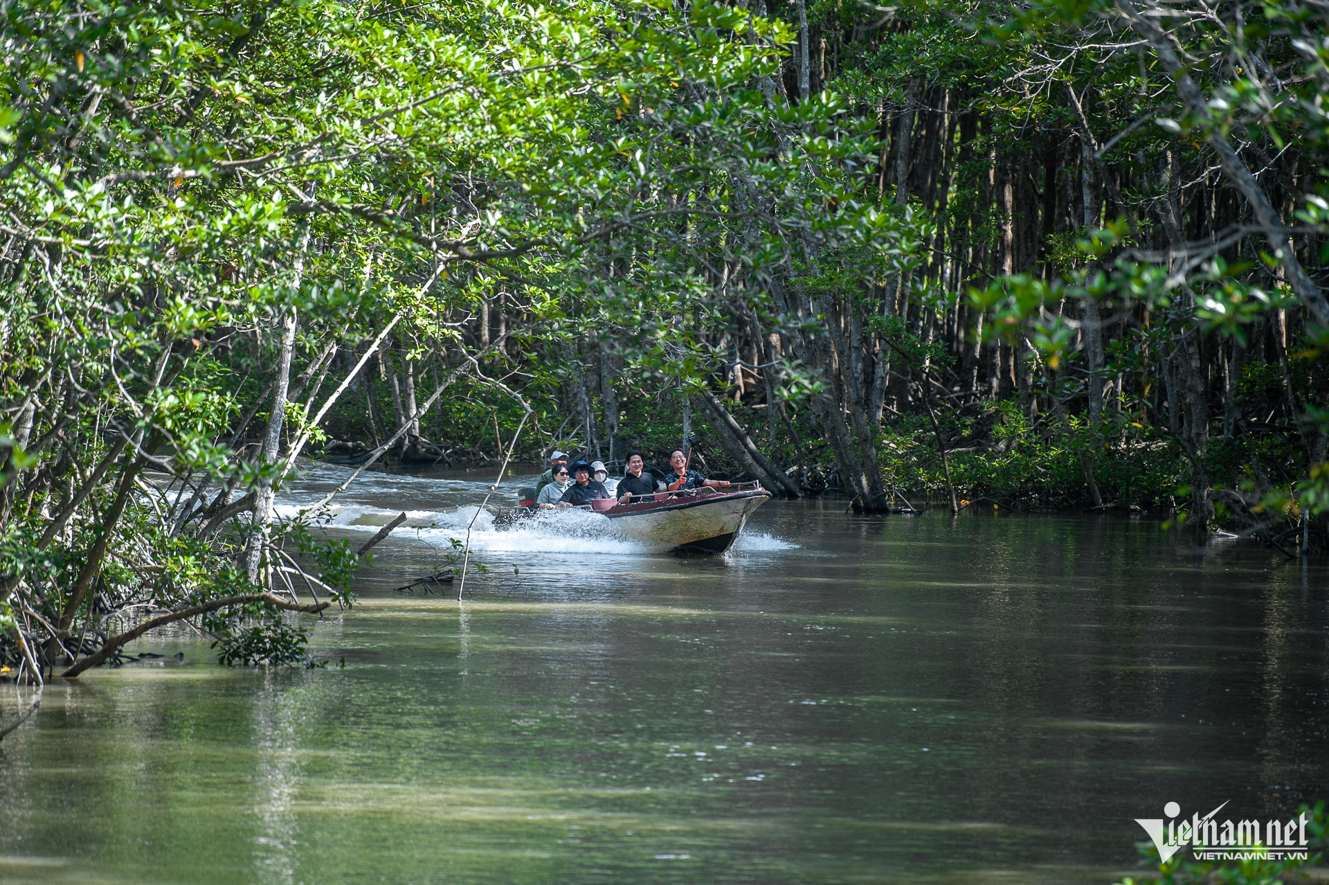 W-daccongrungsac_rungsac_daokhi (2).jpg