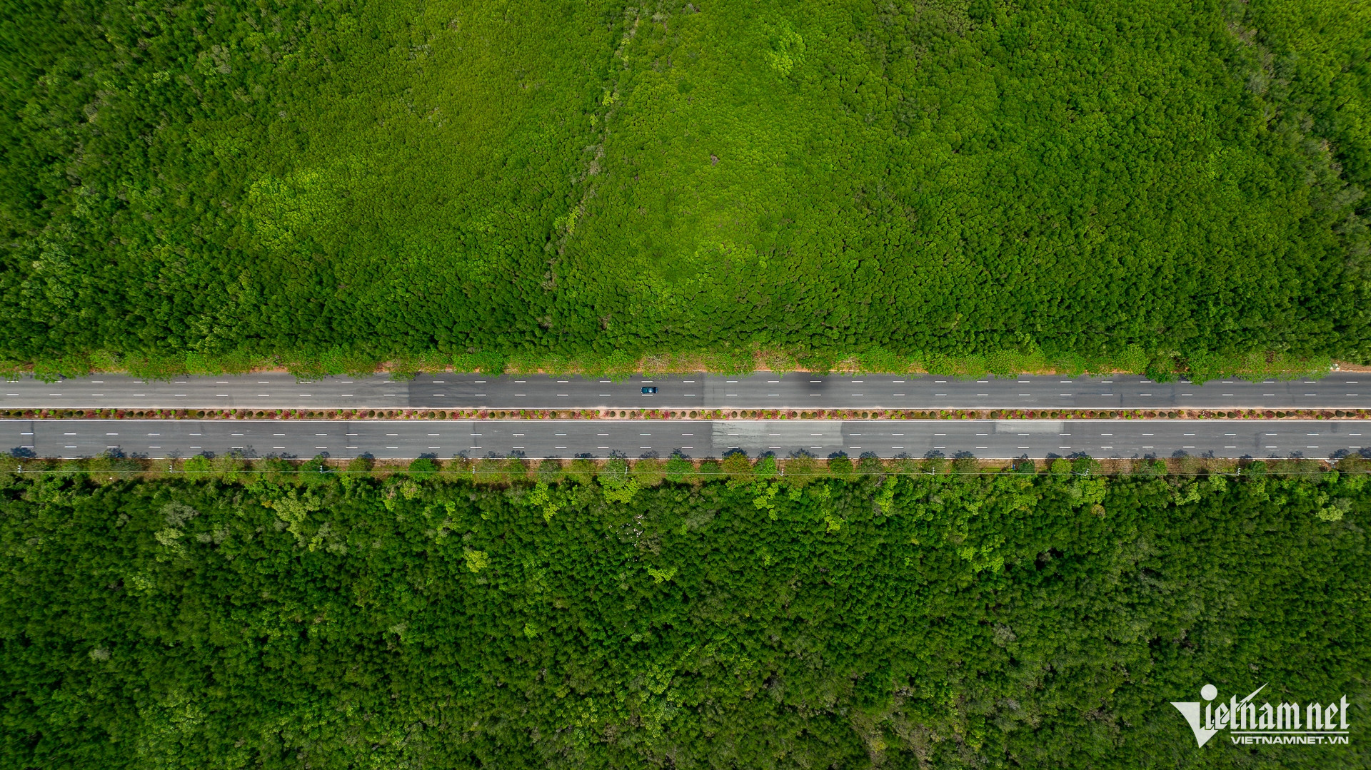 W-duongcangio_rungsac (9).jpg