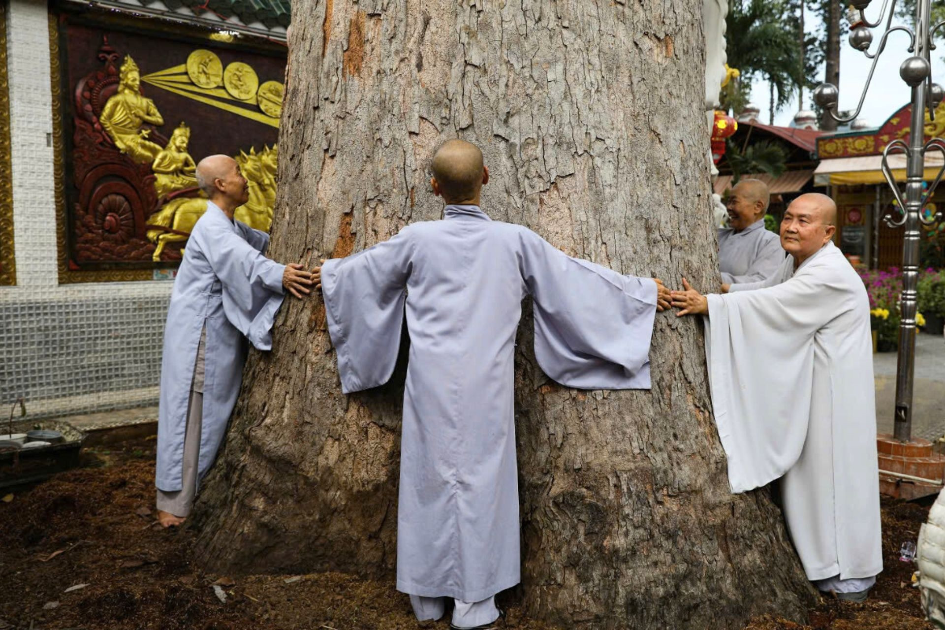 Chùa cổ trên cù lao ở Đồng Nai lưu giữ 'báu vật' hơn 300 tuổi