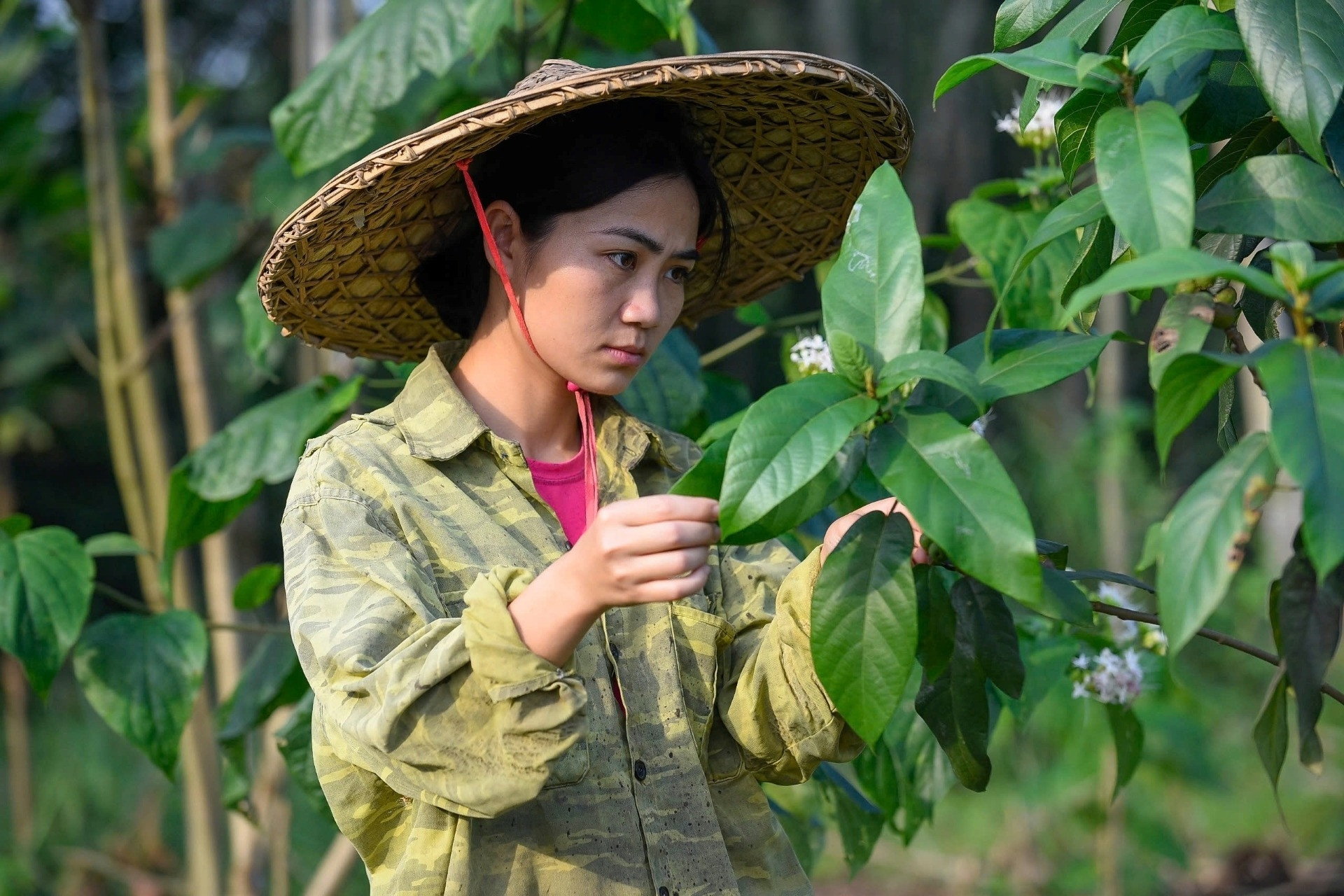 Cô gái người Thổ cất bằng đại học, về ‘hồi sinh’ những cánh rừng cằn cỗi
