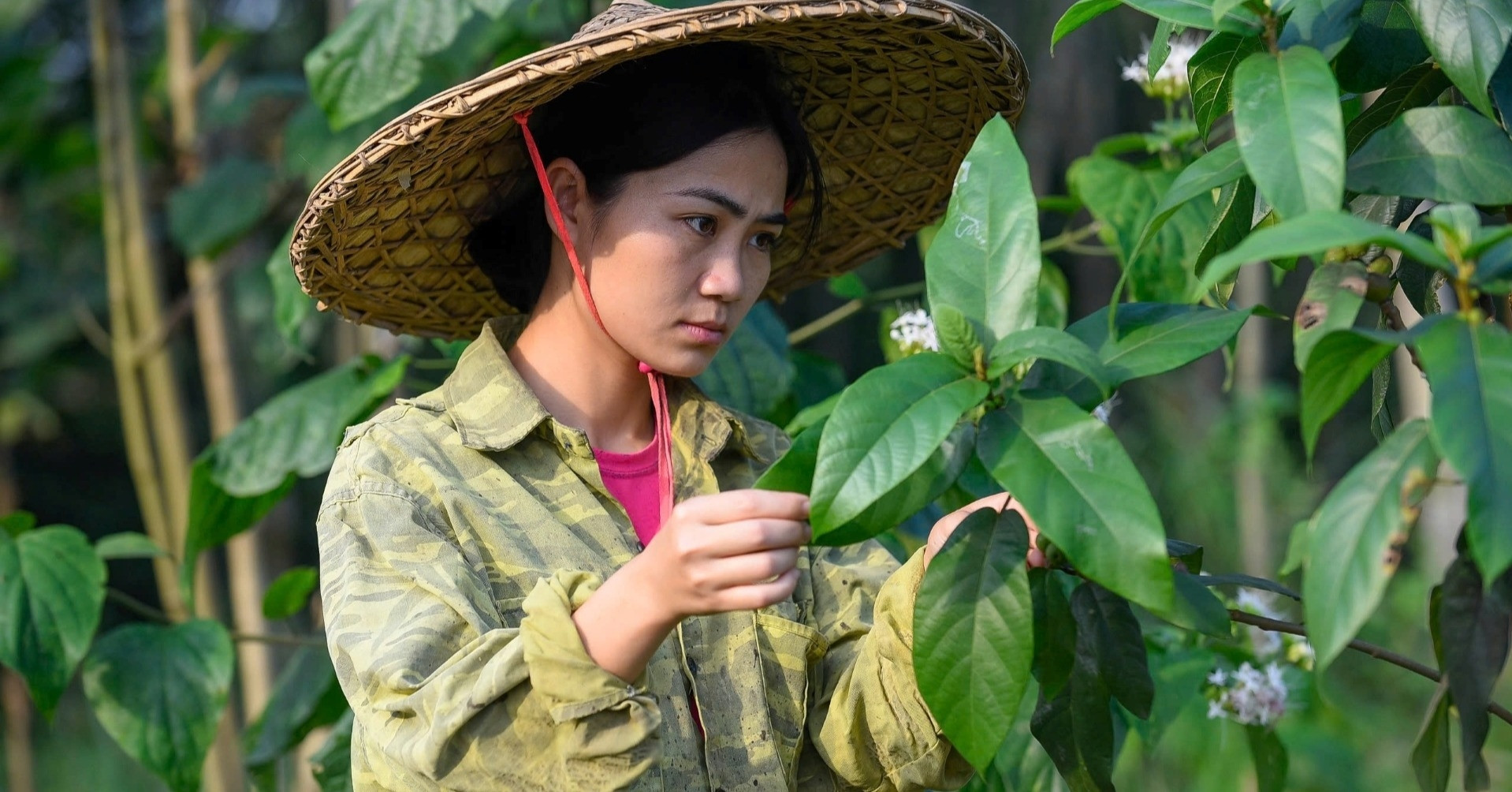 Cô gái người Thổ cất bằng đại học, về ‘hồi sinh’ những cánh rừng cằn cỗi