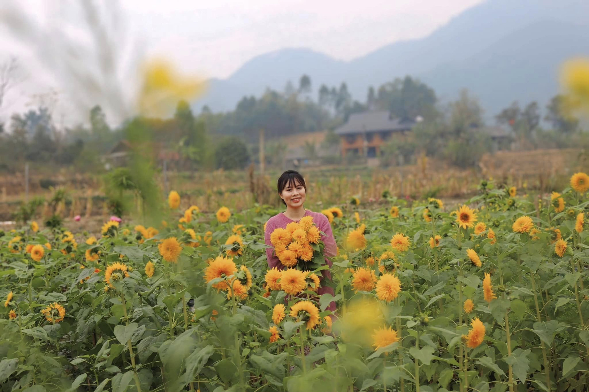 nha vuon dep o Yen Bai 0.jpg