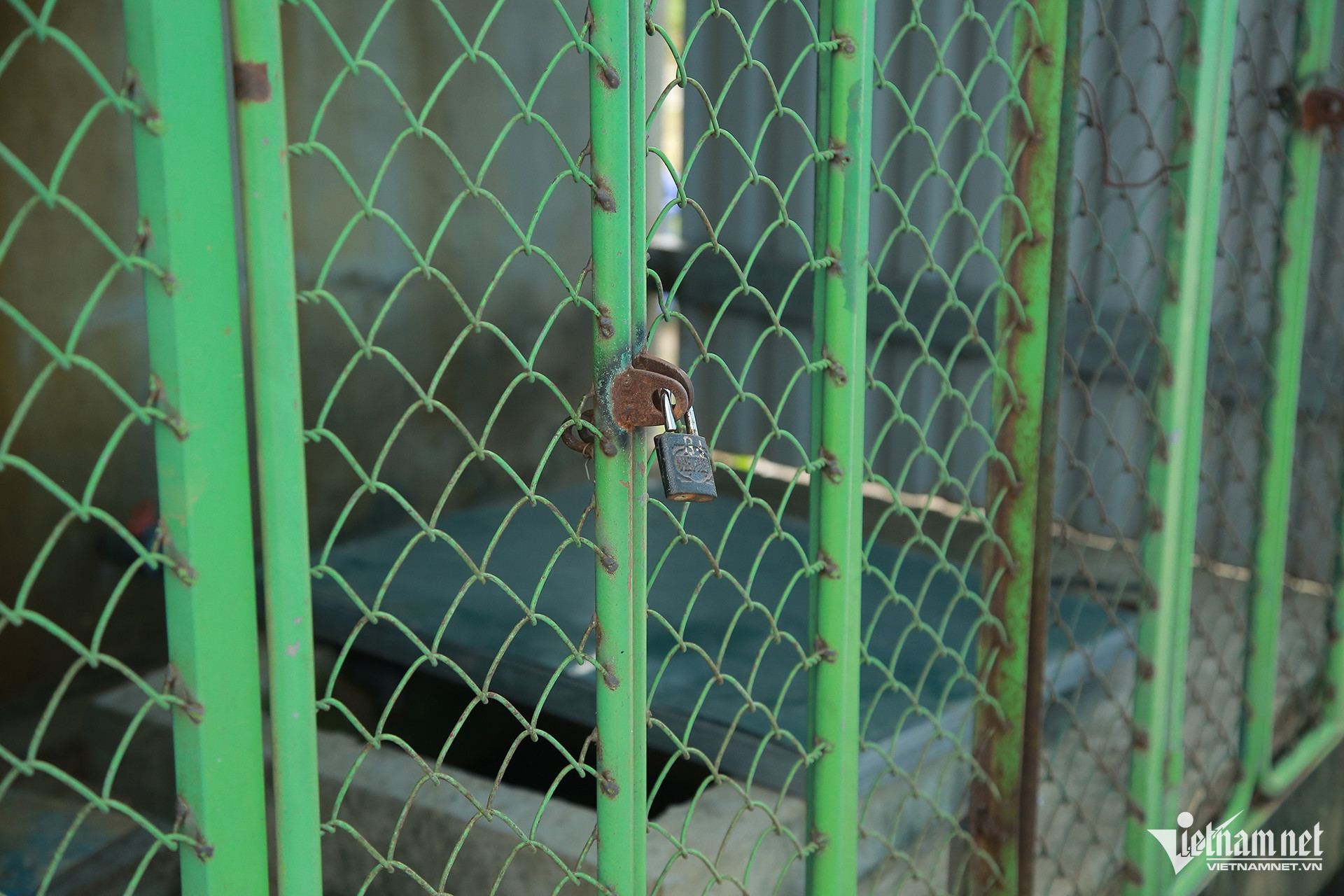 W-Cẩm trung3.JPG.jpg