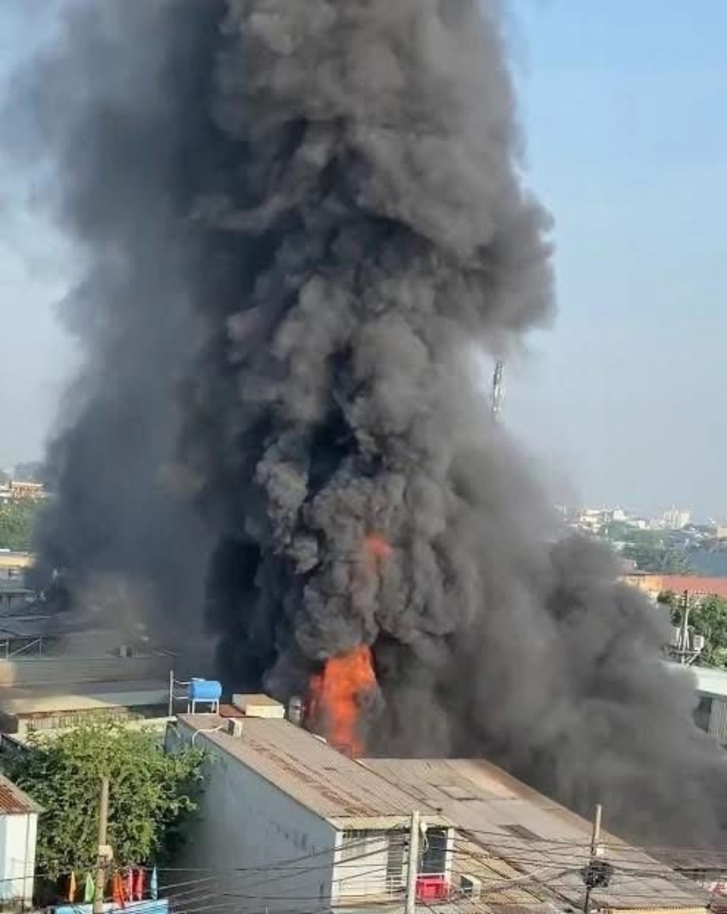 2919e340 6fa0 4a14 b66f 5382e6f209c4.jpg