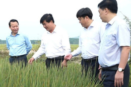 Đắk Lắk đề nghị Thủ tướng giao quyền Chủ tịch tỉnh cho ông Nguyễn Thiên Văn