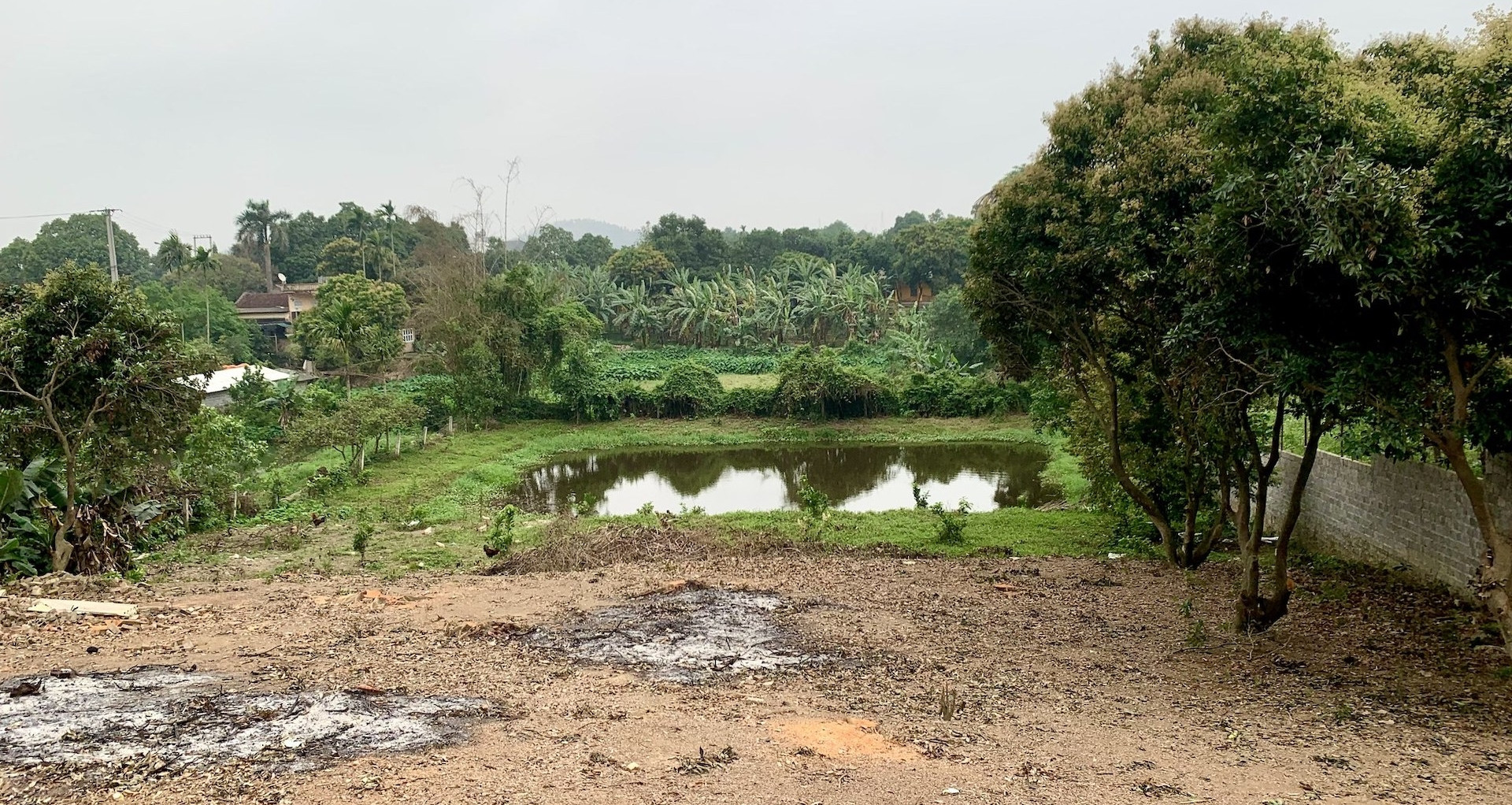 Muốn chuyển đất nông nghiệp sang đất ở, phải làm gì?