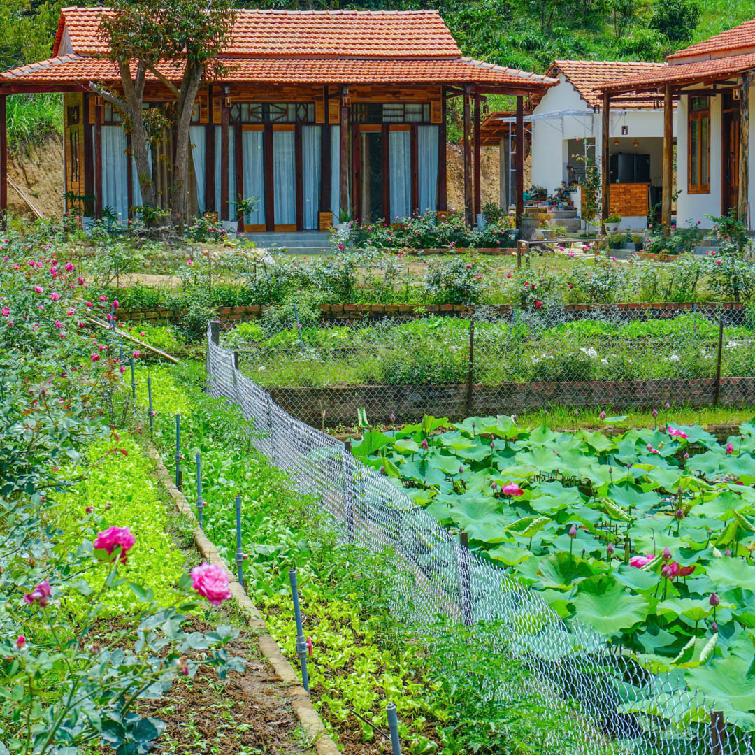 nhà vườn đak lak 8.JPG