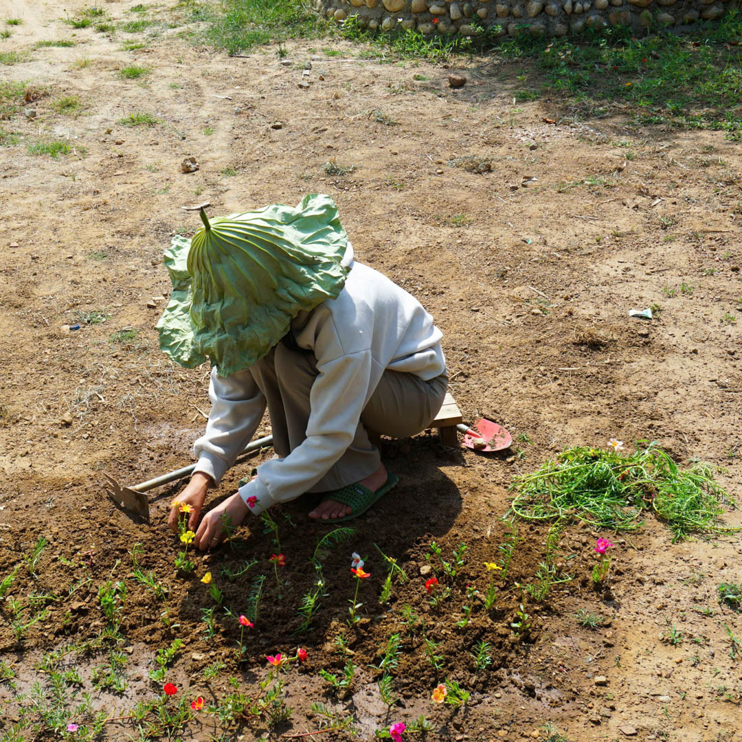 nhà vườn đak lak 9.JPG