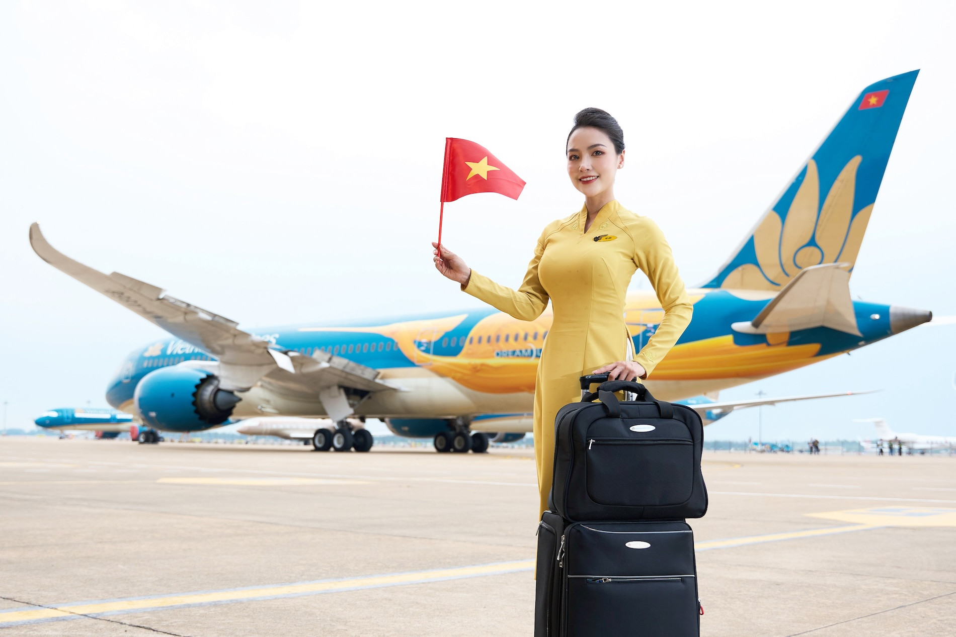 Tàu bay dán livery chim Lạc.JPG