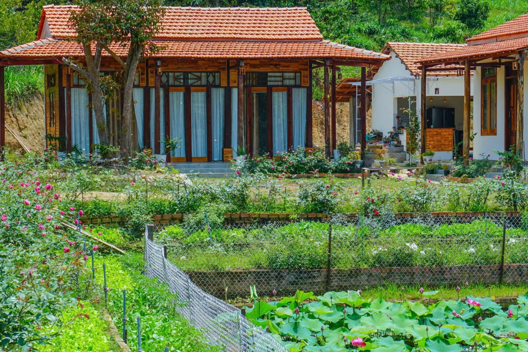 Vợ chồng trẻ rời TPHCM về quê trồng hoa, nuôi cá ở mảnh đất hơn 3.000m2