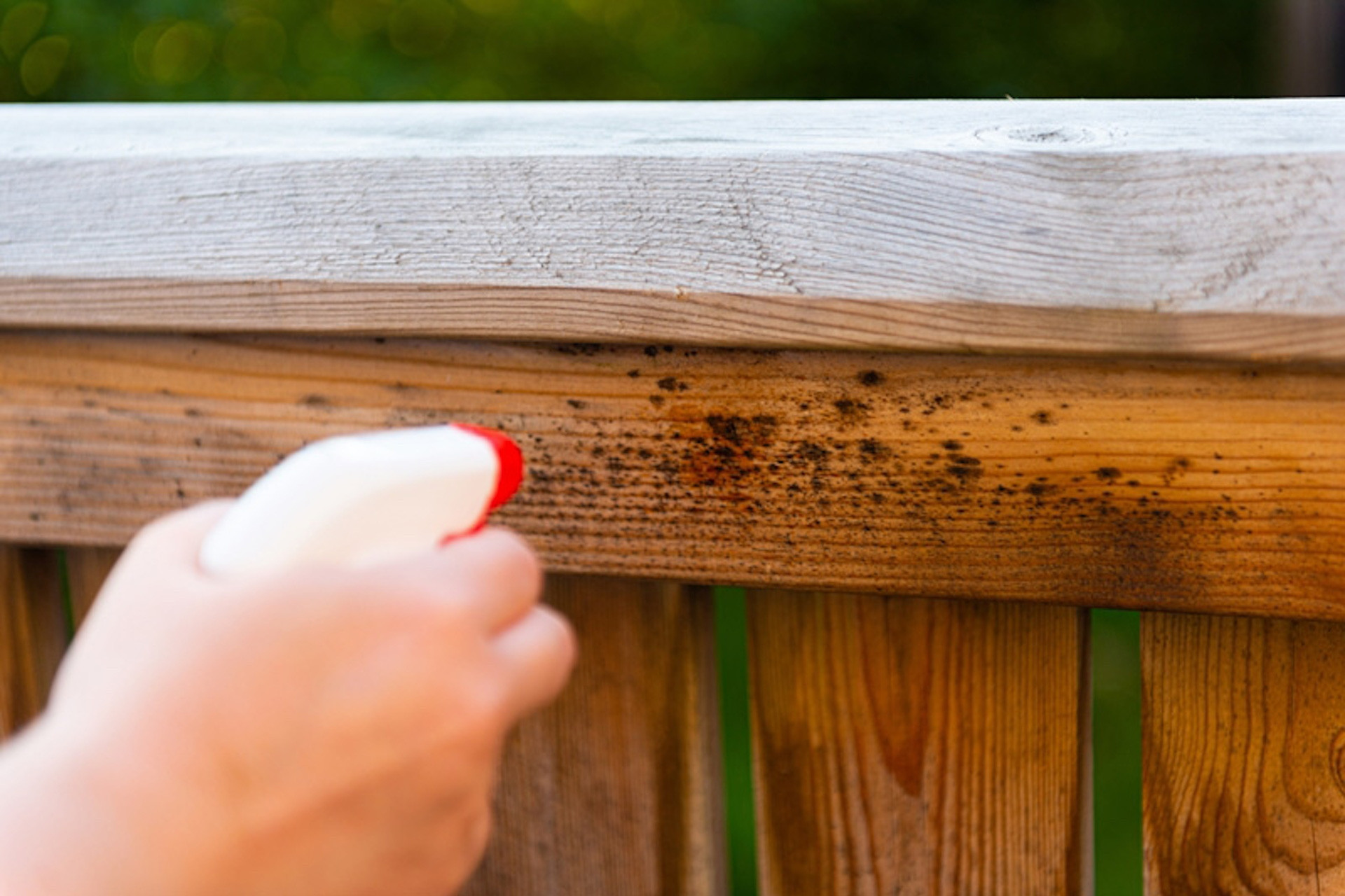 Đánh bay vết ố, trầy xước trên đồ gỗ chỉ với nguyên liệu rẻ tiền, nhà có sẵn