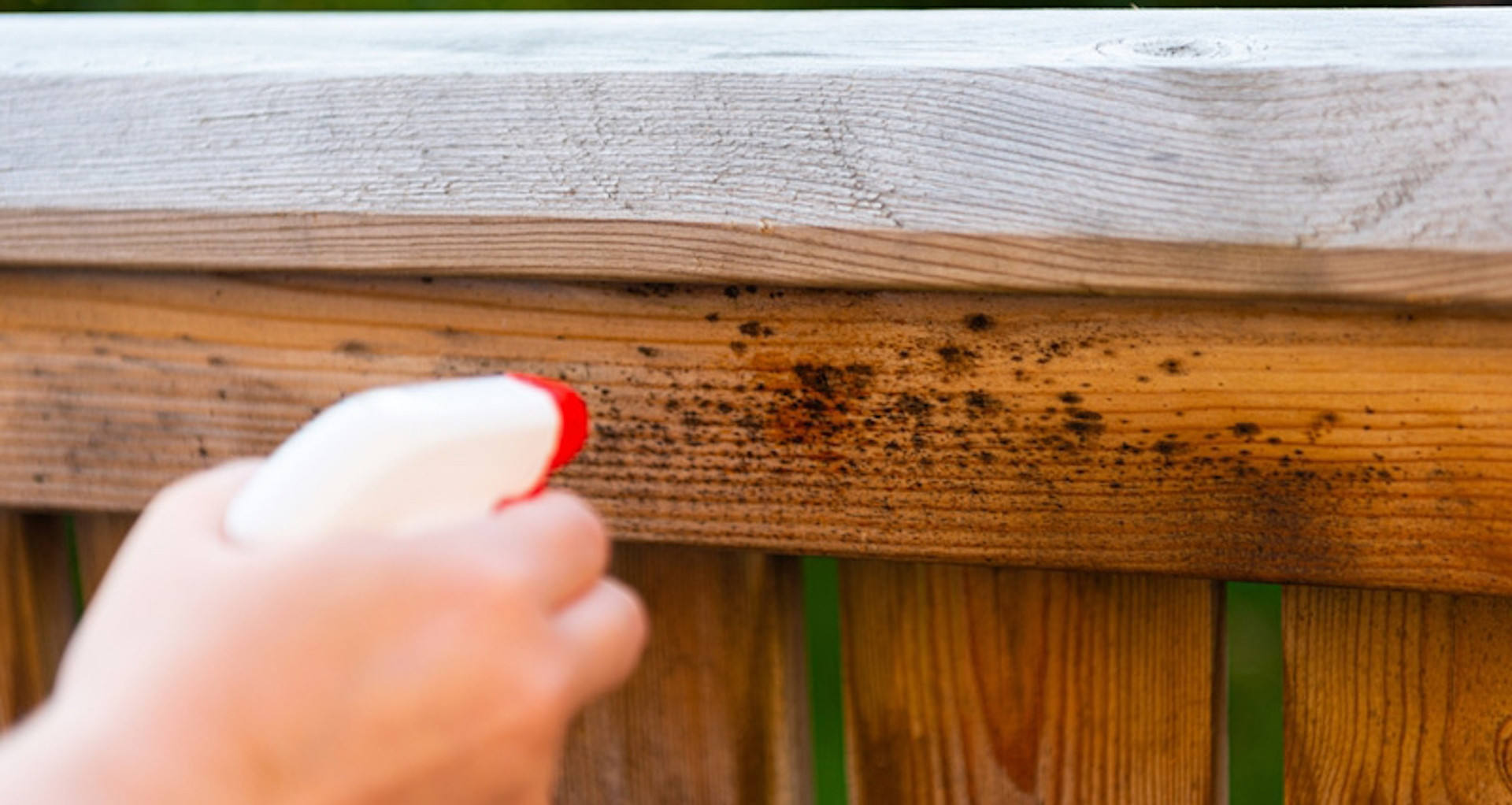 Đánh bay vết ố, trầy xước trên đồ gỗ chỉ với nguyên liệu rẻ tiền, nhà có sẵn