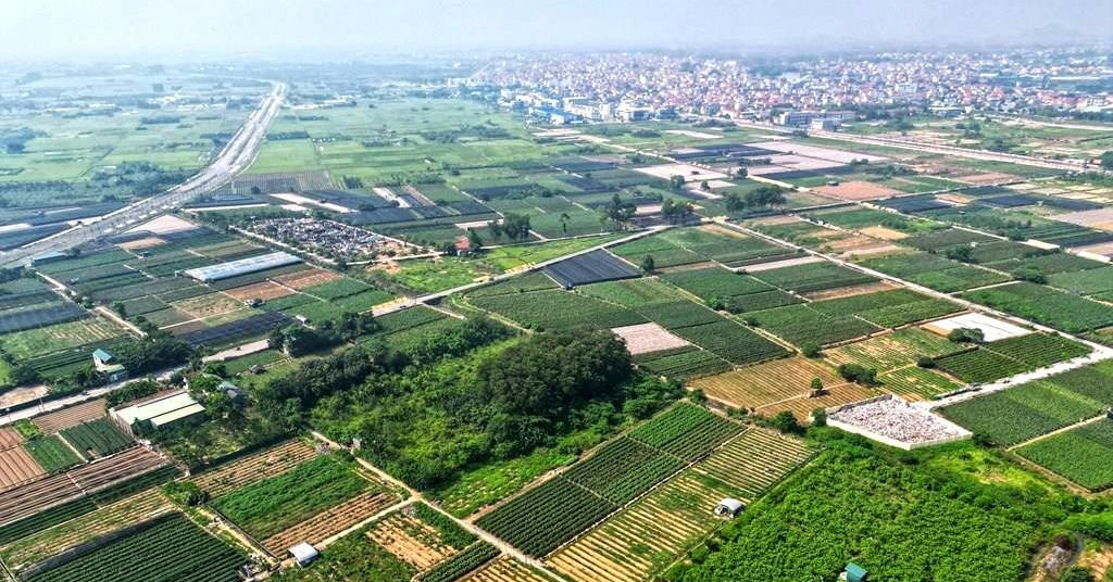 Đất đấu giá tỉnh lẻ có giá trúng cao hơn các huyện ở Hà Nội, vì sao?