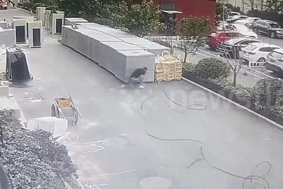 Khoảnh khắc người đàn ông thoát nạn hy hữu khi cần cẩu đổ sập xuống đầu
