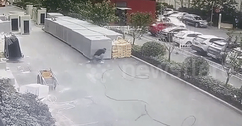 Khoảnh khắc người đàn ông thoát nạn thần kỳ khi cần cẩu đổ sập xuống đường