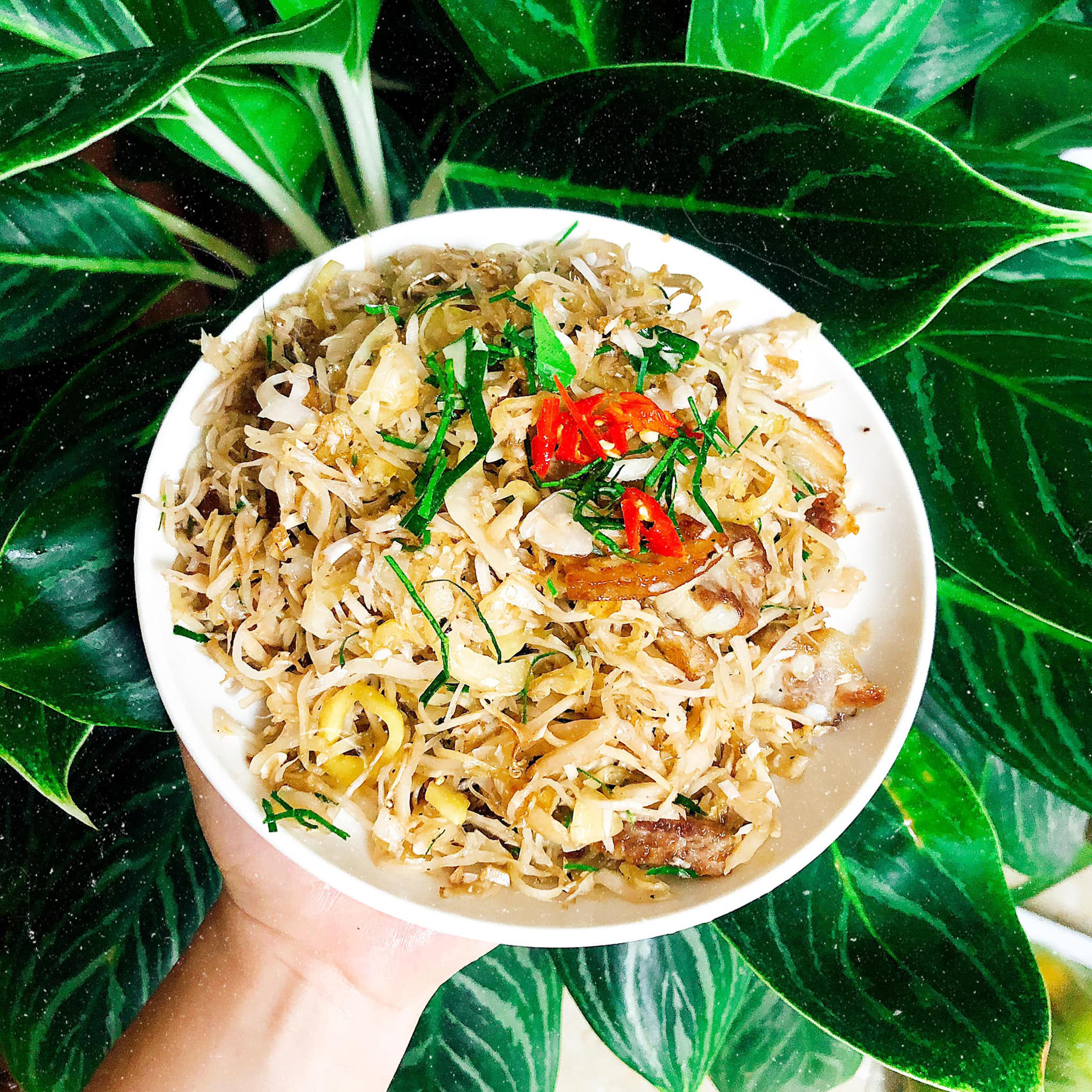 nhút mít xào   nguyễn thị thùy linh.jpg