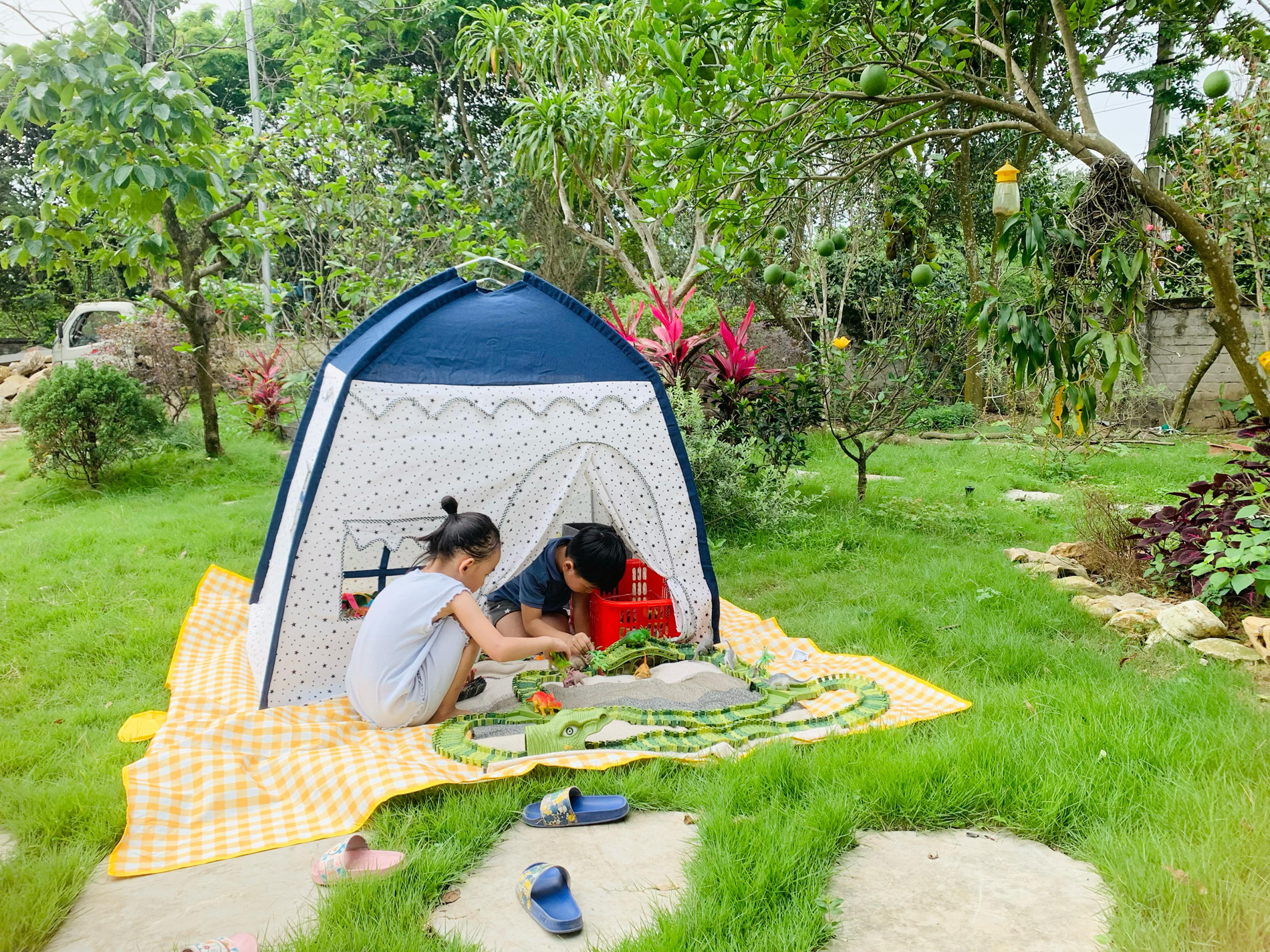 1d68c49d 462e 4fc2 a782 a73f9d26952f.jpg