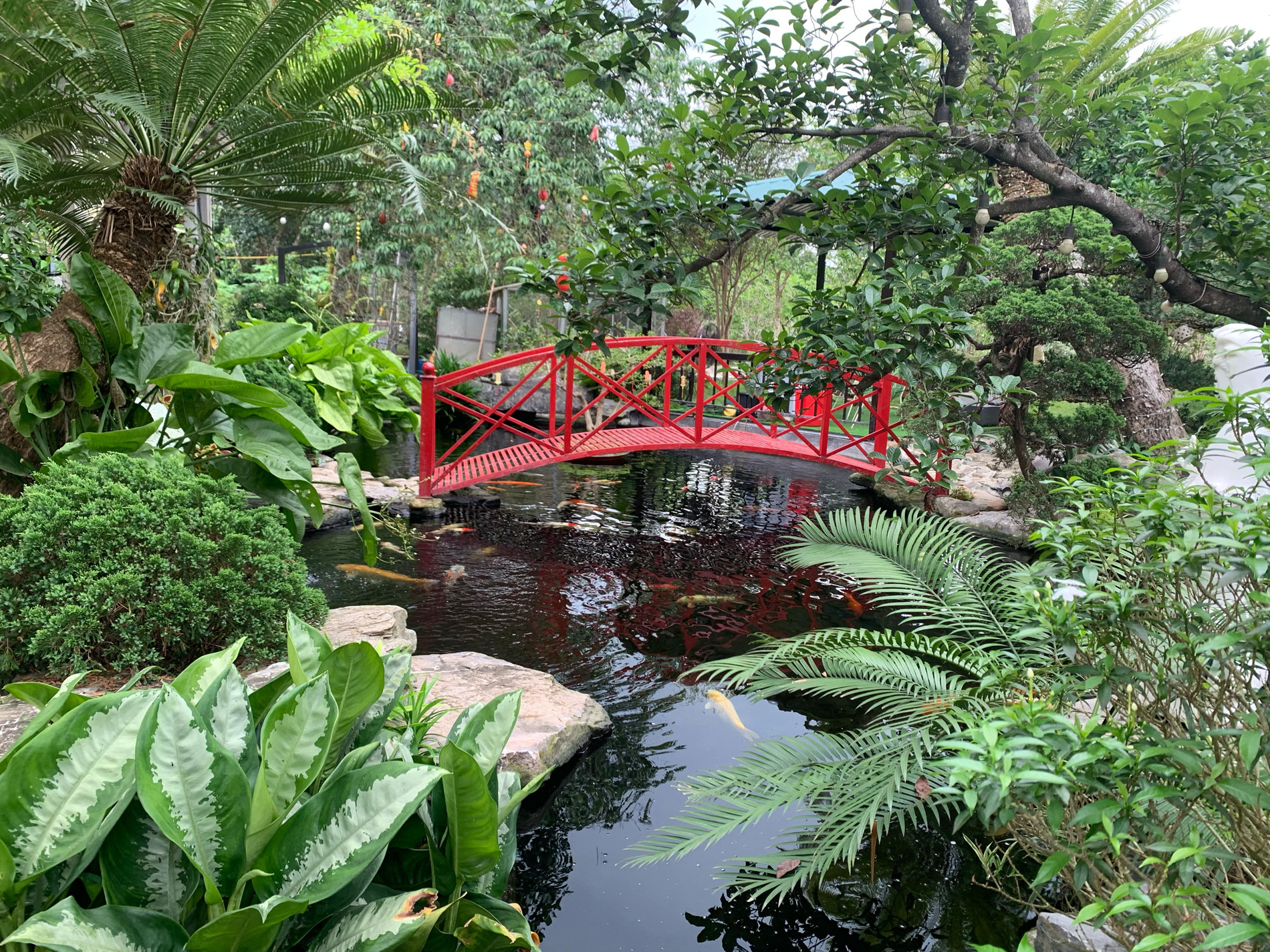 54f09b21 524a 428e 842a 630b624a3061.jpg