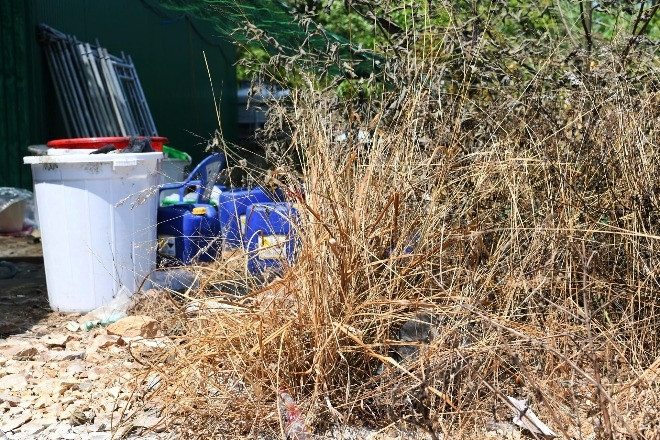 Cây cối chết khô, lá vàng úa quanh xưởng sản xuất 1,4 tấn ma túy ở Nha Trang