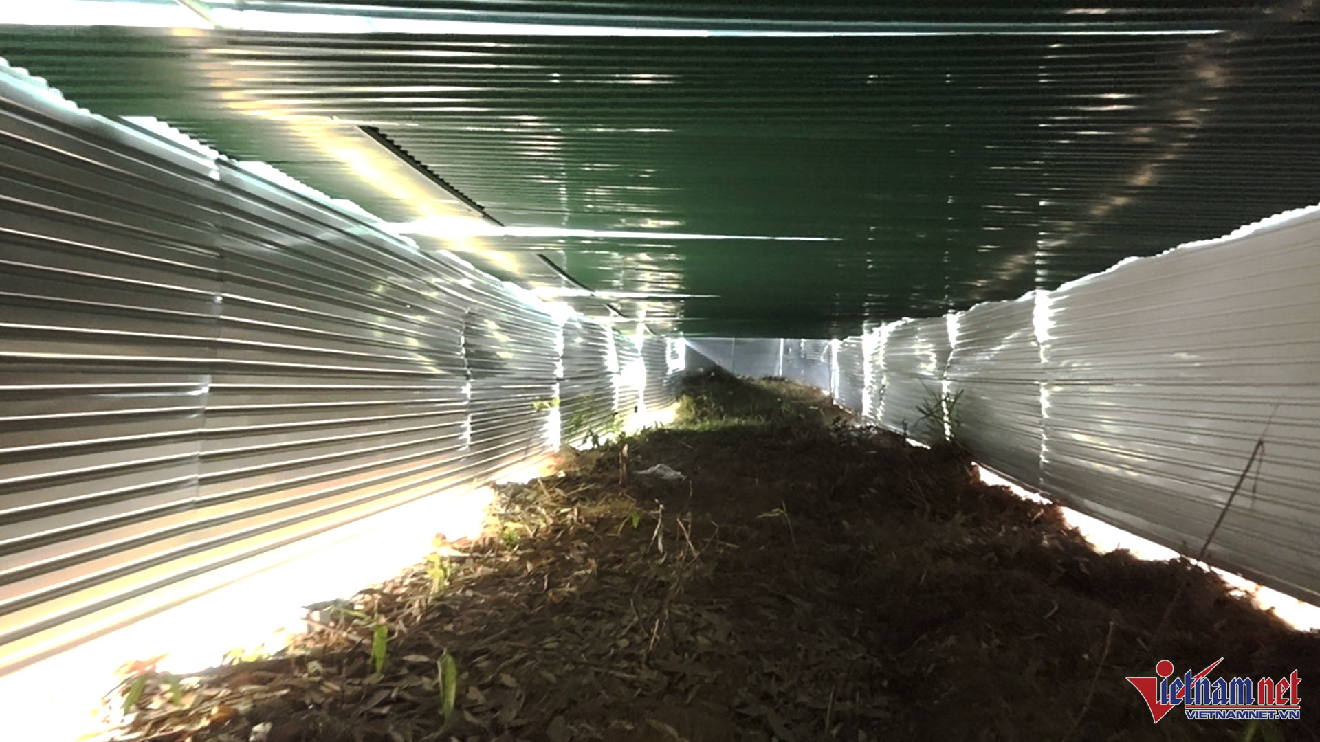 W-nha khong mong.jpg