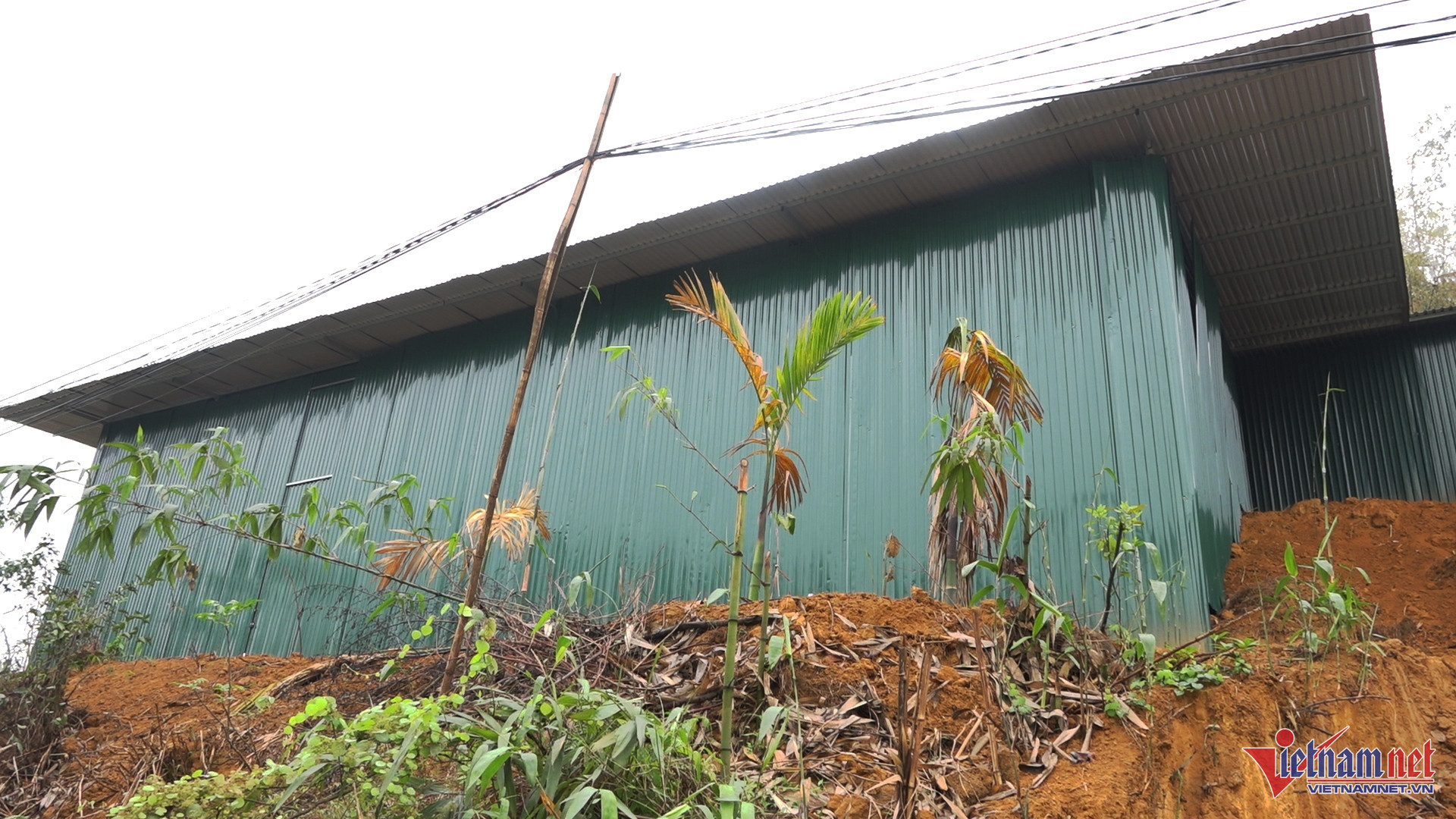 W-nha khong mong 6.jpg