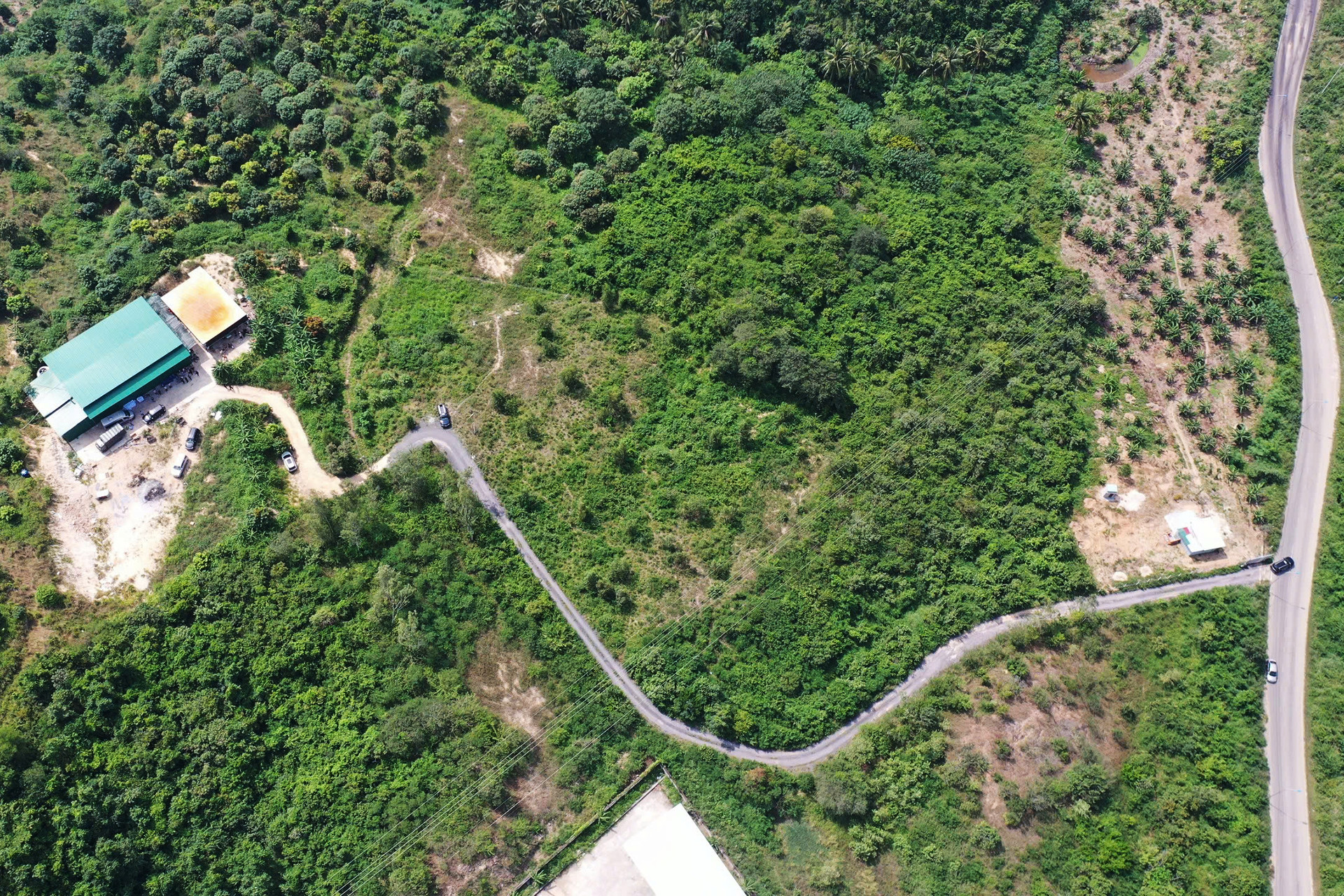 z6469750849375_92697a98748b921fdf4bc68ac7a406bc copy.jpg