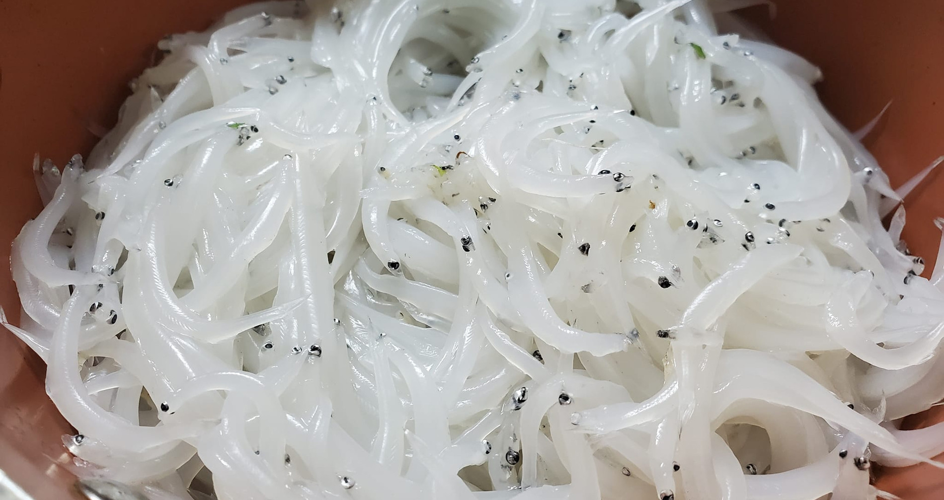 Đặc sản 'trời cho' độc lạ ở Tây Bắc, vớt vội cũng được vài cân, ăn ngon hơn tôm
