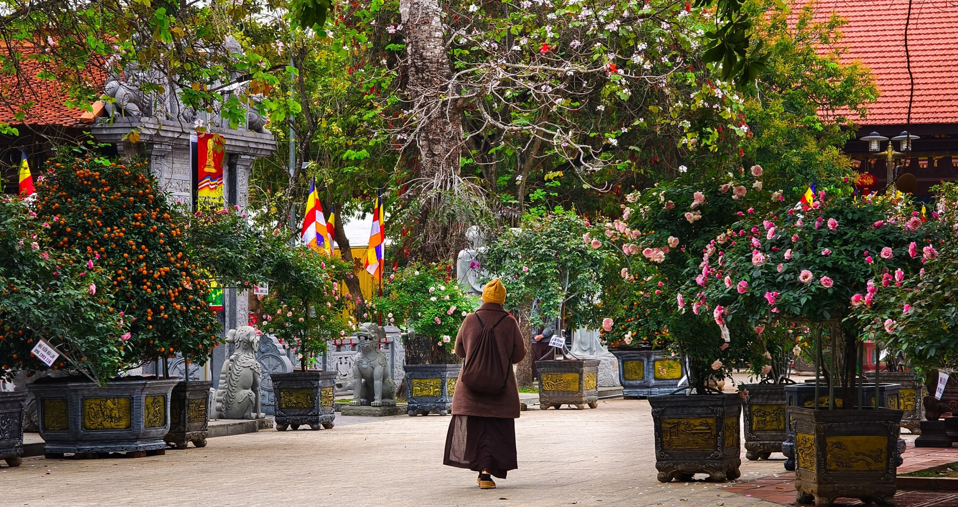 Ngôi chùa đẹp lạ có nhiều cổ vật ở ngoại thành Hà Nội, khách tò mò tới tham quan