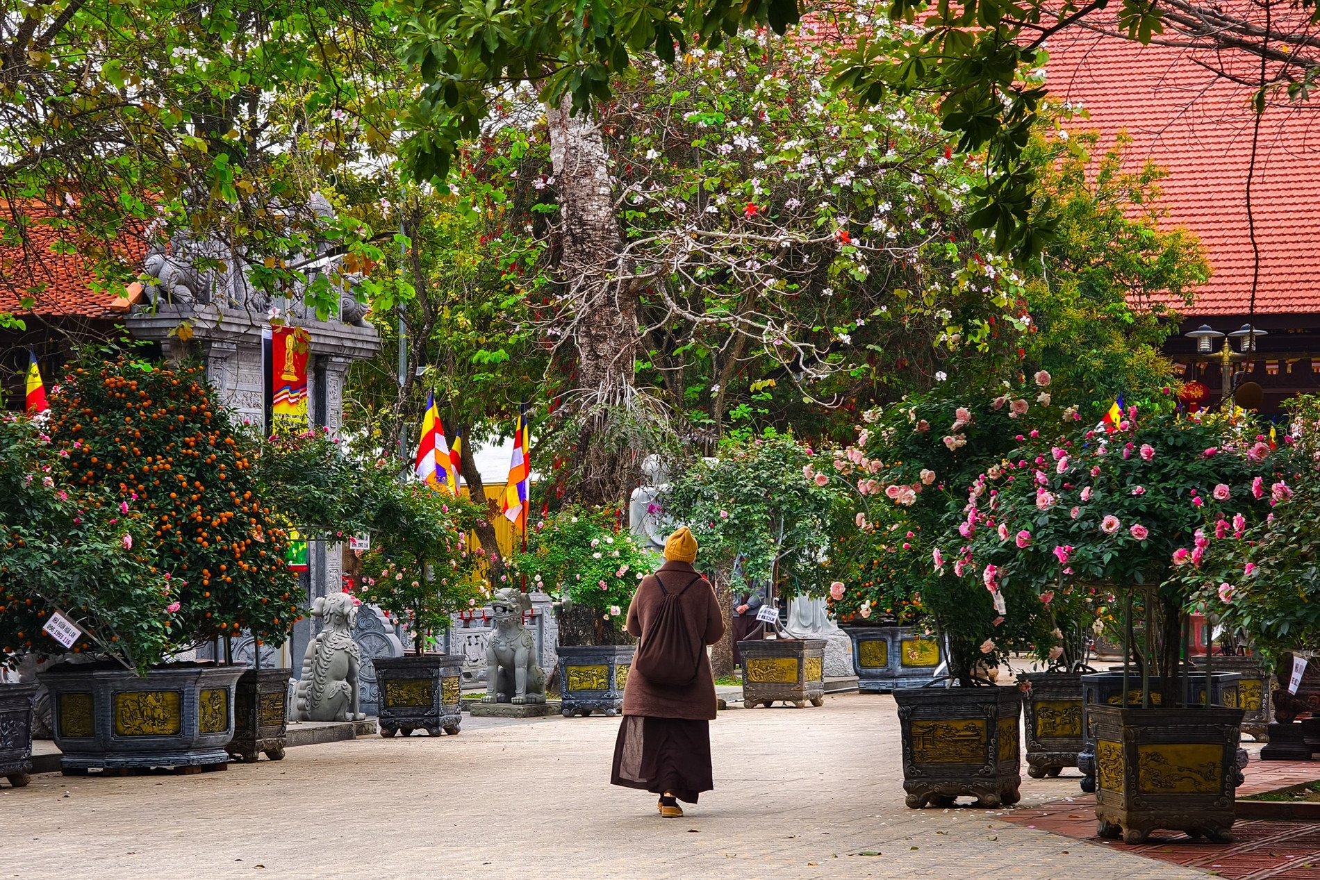 Ngôi chùa đẹp lạ có nhiều cổ vật ở ngoại thành Hà Nội, khách tò mò tới tham quan