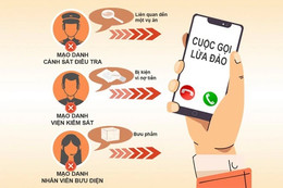 Thủ tướng yêu cầu đẩy mạnh tấn công tội phạm lừa đảo trên mạng