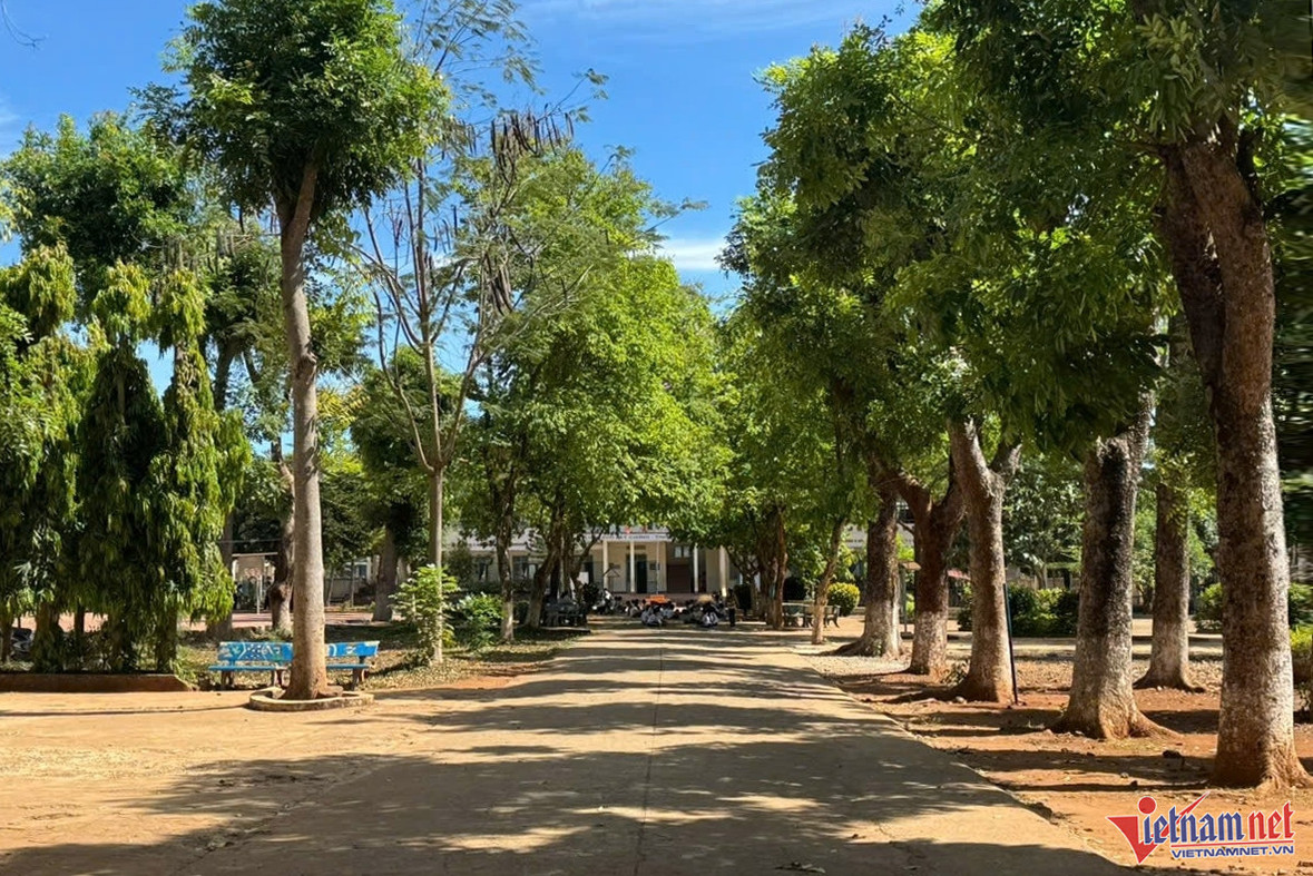 w z6469666600293 6958a2c626cfbd6cfc2fbf31a7de40fe 91628.jpg