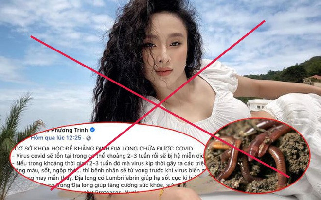 angela phuong trinh bi phat 75 trieu dong vi dang sai su that 2.jpg