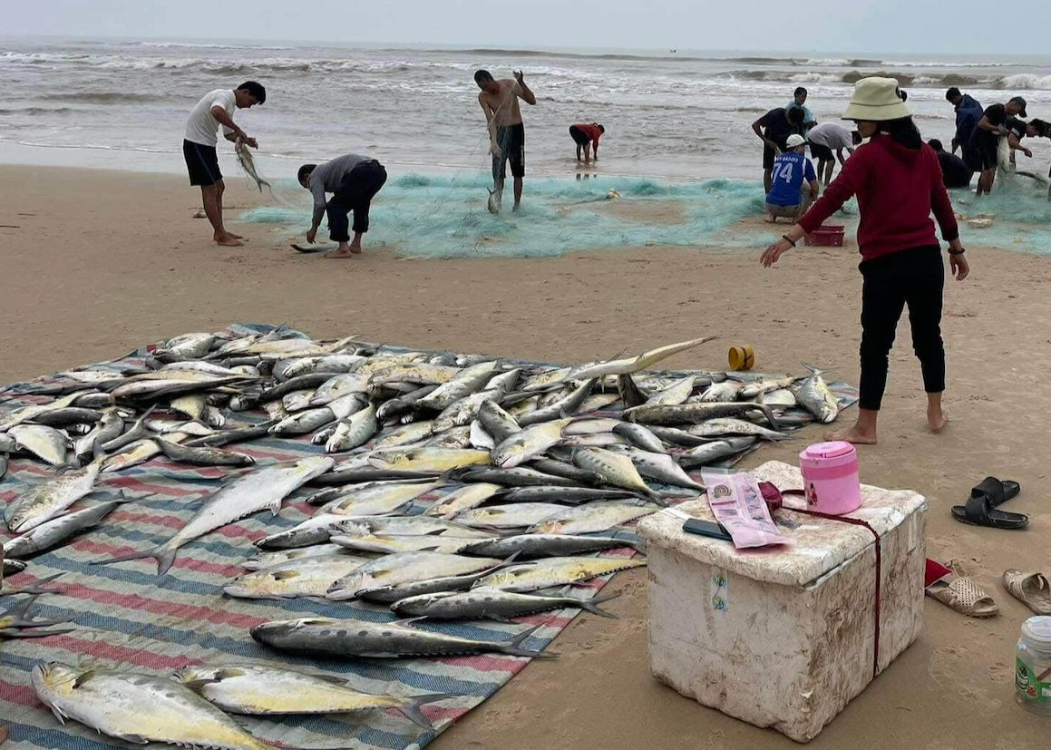 Ảnh màn hình 2025 04 05 lúc 16.15.15.png