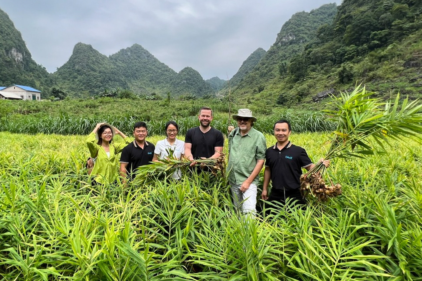 Cây gia vị tốt nhất thế giới tạo sinh kế cho dân vùng cao Lục khu Hà Quảng