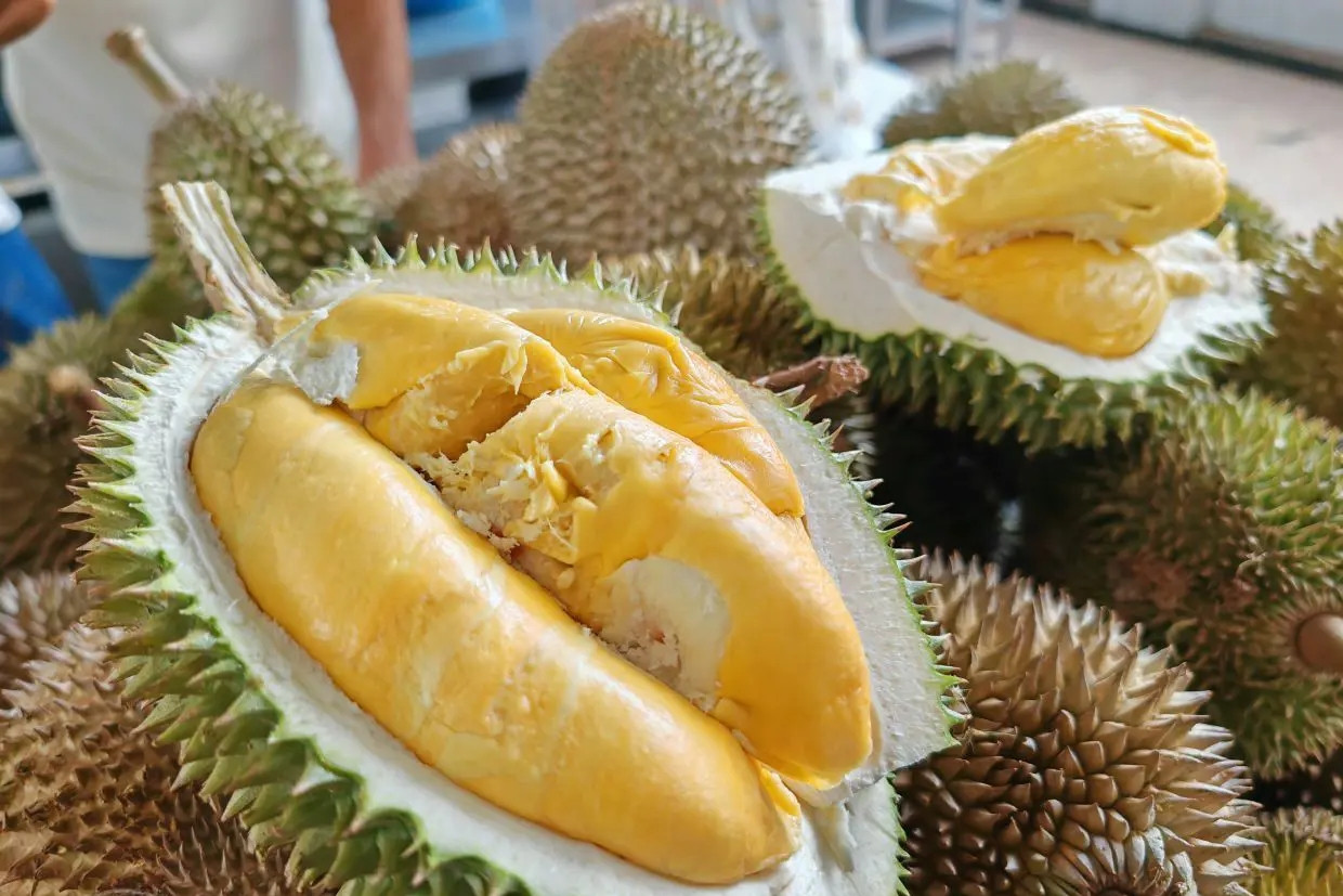 Loại sầu riêng mới giá lên tới gần 800.000 đồng/kg gây sốt - Ảnh 3. Loại sầu riêng mới giá lên tới gần 800.000 đồng/kg gây sốt - Ảnh 3.