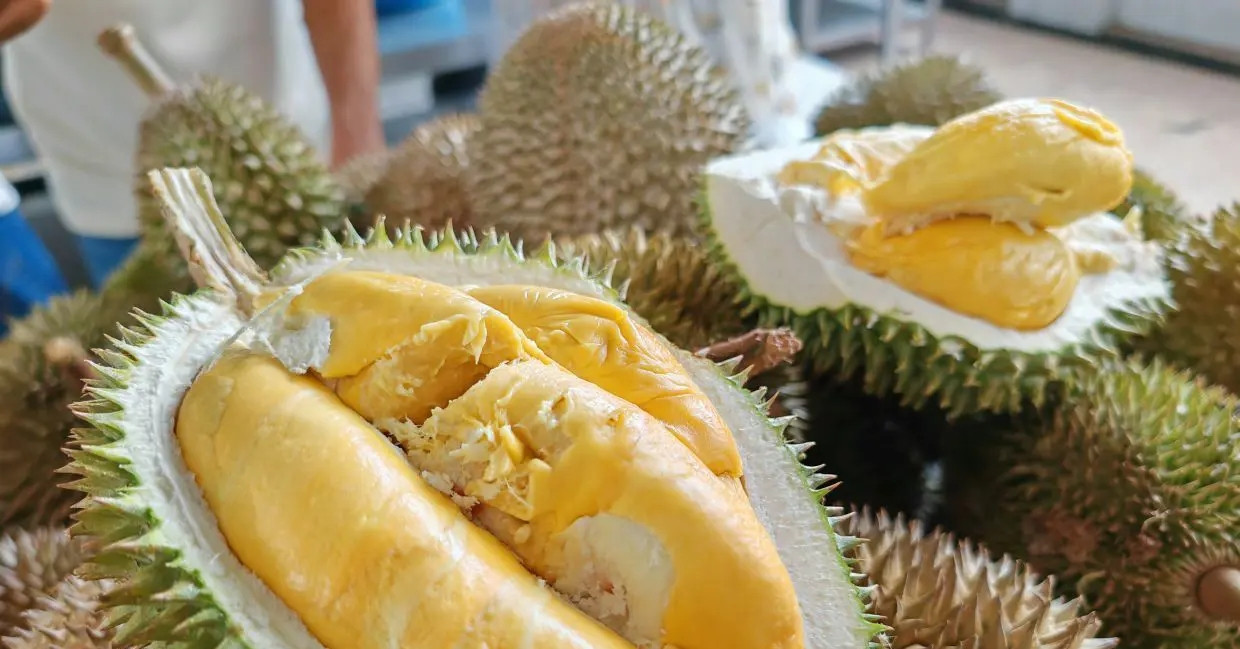 Malaysia tham vọng tại thị trường Trung Quốc, sầu riêng Việt thêm nỗi lo